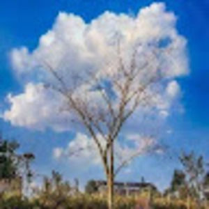 Meet your Posher, Contreras